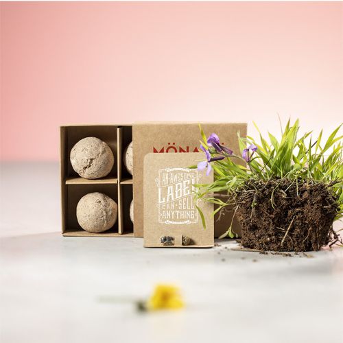 Kit potager - image 5